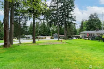 Partially cleared for easy building, two trees have been approved for removal and will be taken down mid-May