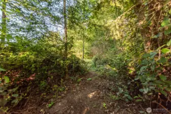 Trail Access to Lot 3