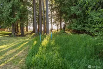 Water Lines