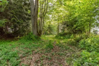 Beautiful Park-Like Setting