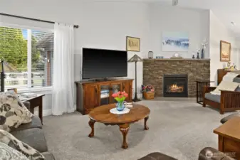 Propane fireplace adds ambiance and supplements the forced air heating and cooling system (heat pump).