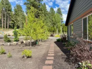 Lovely pavers through landscaped area.