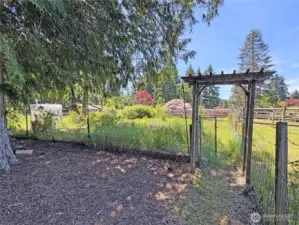 Fenced garden space