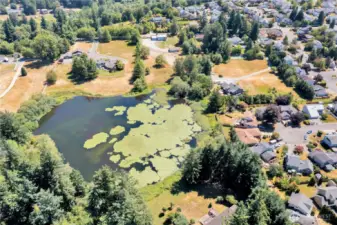 Aerial shot of your fishing hole to enjoy.