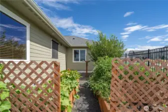 Fenced Garden area