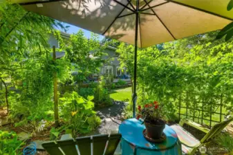 View from garden seating