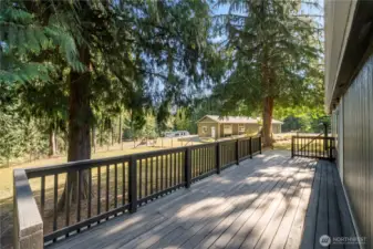 Large back deck in a fenced in area for all critters