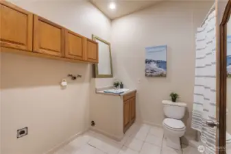 Bathroom in shop/garage