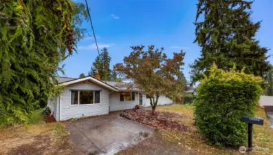 Curb appeal with a mature landscape