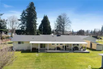 Dog run to the left of back porch.