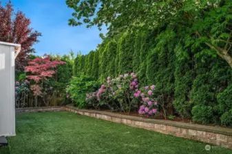 Spacious private yard with no maintenance turf!