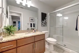 Bathroom on lower level.