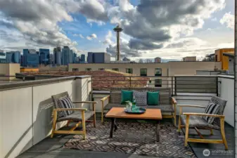 Rooftop deck with screen deck door has great privacy, a green roof for the bees, extra storage, and space needle views.