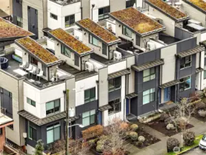 Rooftop deck has great privacy, a green roof for the bees, extra storage, and space needle views.