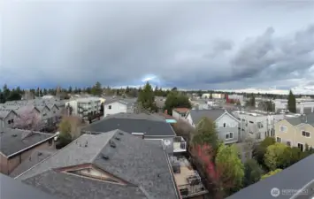 Rooftop View