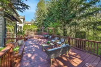 Expansive backyard deck for entertainment! Backs up to private greenbelt.