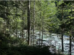 Views of the river from the site