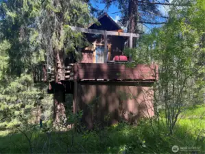 Tree House, Unimproved Home