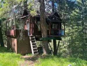 Tree House / Unimproved Tiny Home