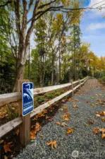 More walking trails.