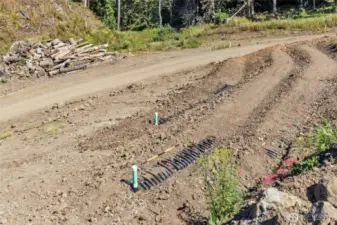 5 bedroom drainfield