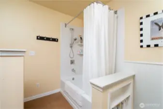 Main floor bathroom