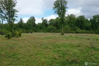 Property was cleared in 2019 which will save you thousands in site prep costs
