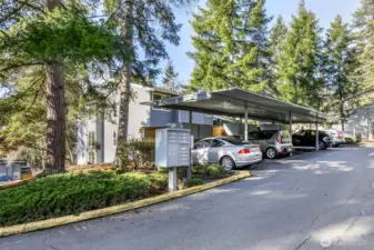 Carport is #42 & close to home. Lots of extra parking for second vehicles & guest visits; space 42 is between 2 cars in foreground