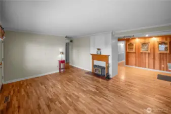 Cozy fireplace with insert