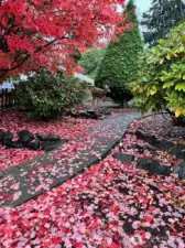 back outside, a sneak peek into what you have to look forward to in the Fall