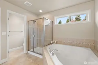 Separate water closet in the primary bath