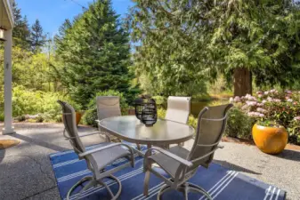 FA low-maintenance view patio awaits,  providing the ideal setting for afternoon  BBQs and outdoor gatherings.