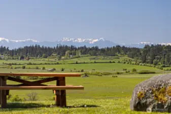 Snow capped Olympics in the distance