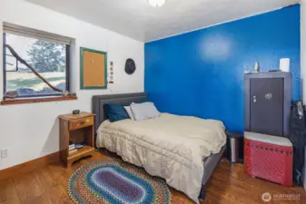 2nd Bedroom on lower level.