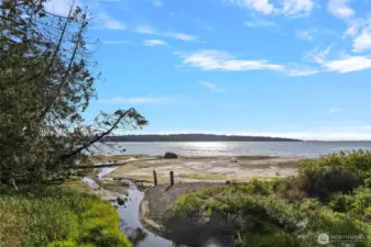Creek access from your backyard to launch kayaks off your own deck to Drayton Harbor