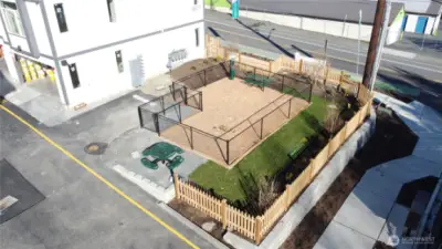 Community Dog Park!
