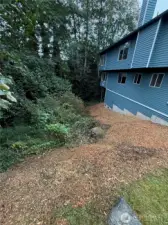 Looking back toward the house.