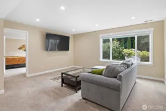 Basement living room