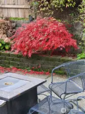 Landscaping in bloom