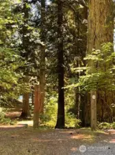 This is directly across the street from the lot - just a short walk to the lake. Location, Location and this lot has the best!