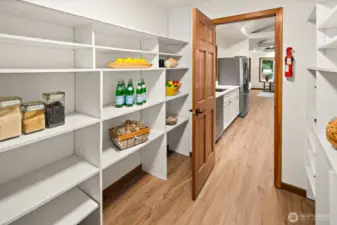 Huge walk-thru panty!