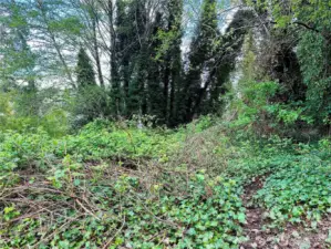 Flat middle section, looking to the South.