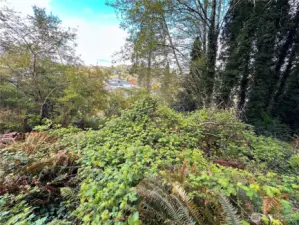 Lot is fairly level in the middle section.