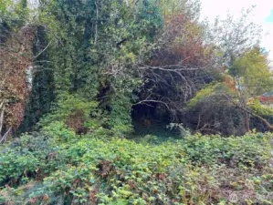 Flat section, looking uphill to the West.