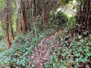 Steepest portion on the West side of lot.