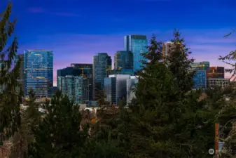 Commanding downtown Bellevue views