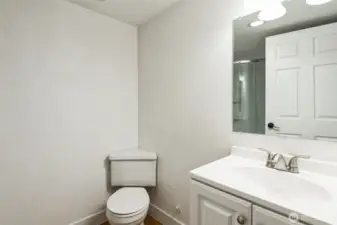 Downstairs bathroom 2 with laundry