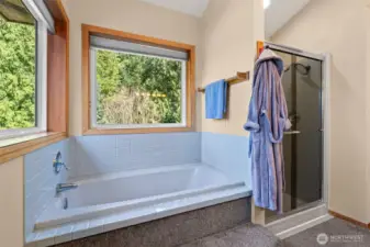 Primary bathroom soaking tub and shower.