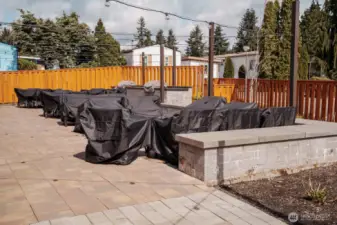 Patio and BBQ area