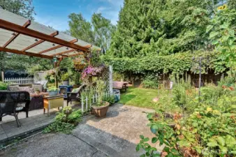 Back patio
